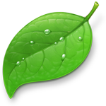 Coda